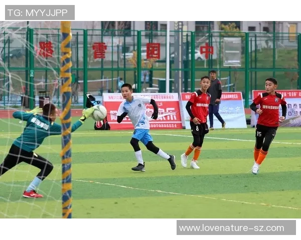 阿勒泰足球的崛起与发展探索助力地方体育文化的繁荣与传承